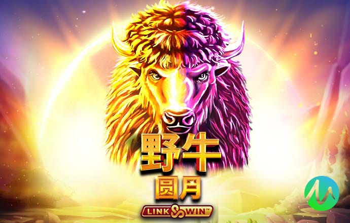 永利总站15856
